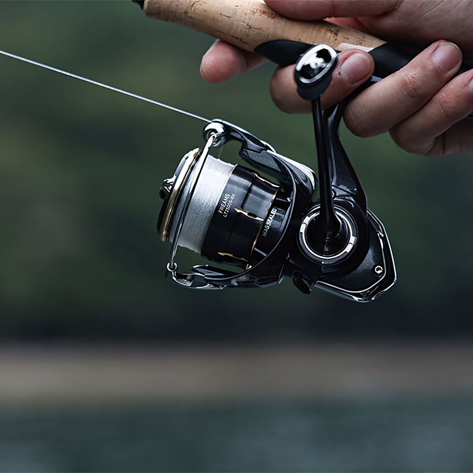 DAIWA 2026 FREAMS Spinnrolle,  – Daiwa Reel Bg Bewertung und Preis