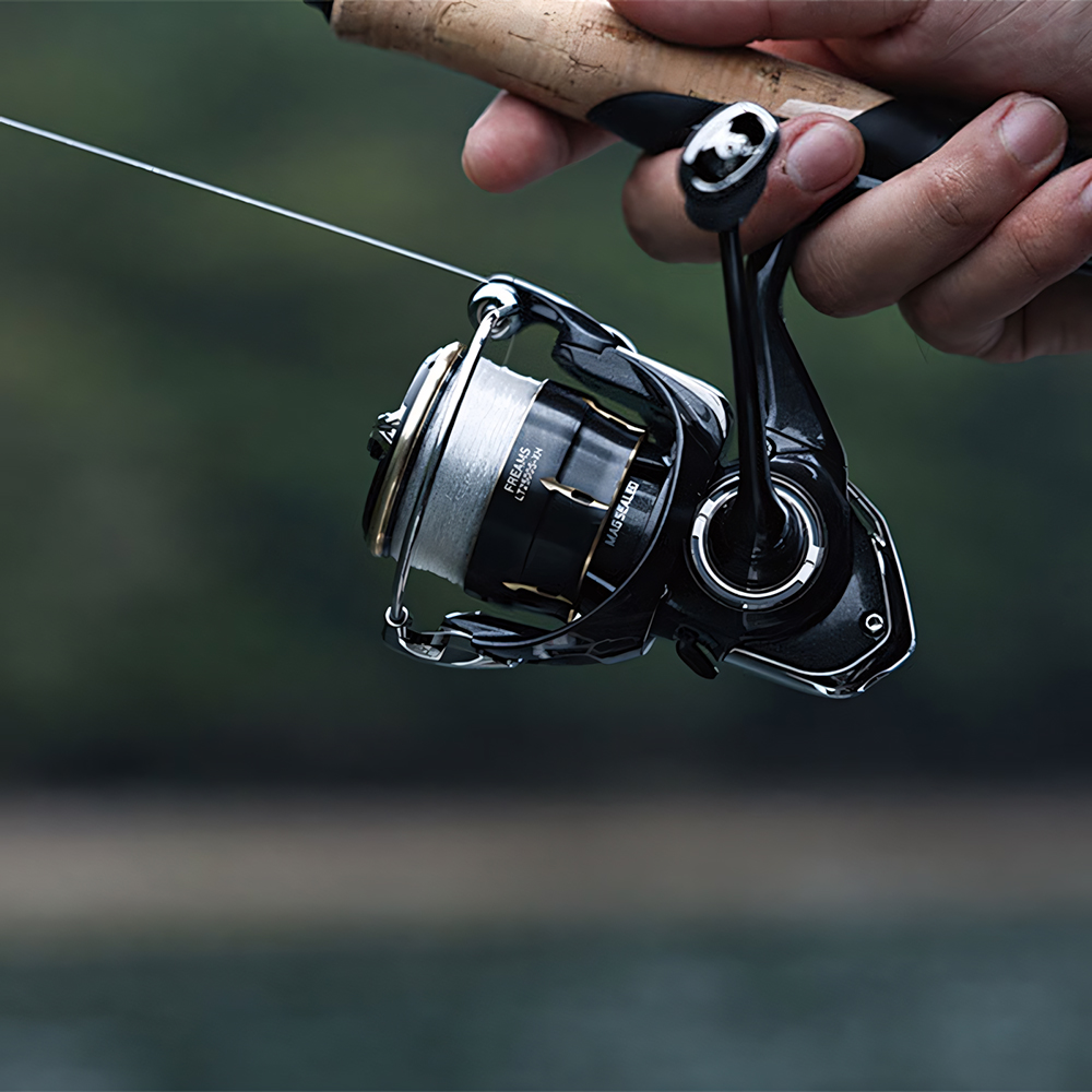 2026 DAIWA FREAMS Spinnrolle 5 – Daiwa Reel Bg Bewertung und Preis