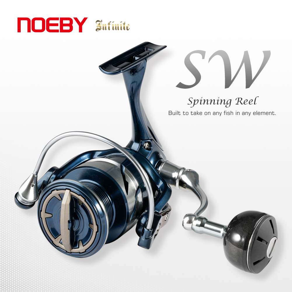 Noeby INFINITE SW Salzwasser-S – Daiwa Reel Bg Bewertung und Preis